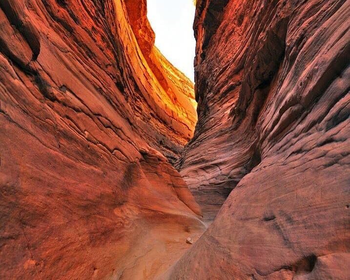 120354132_3424044224301379_6423564640457667480_n