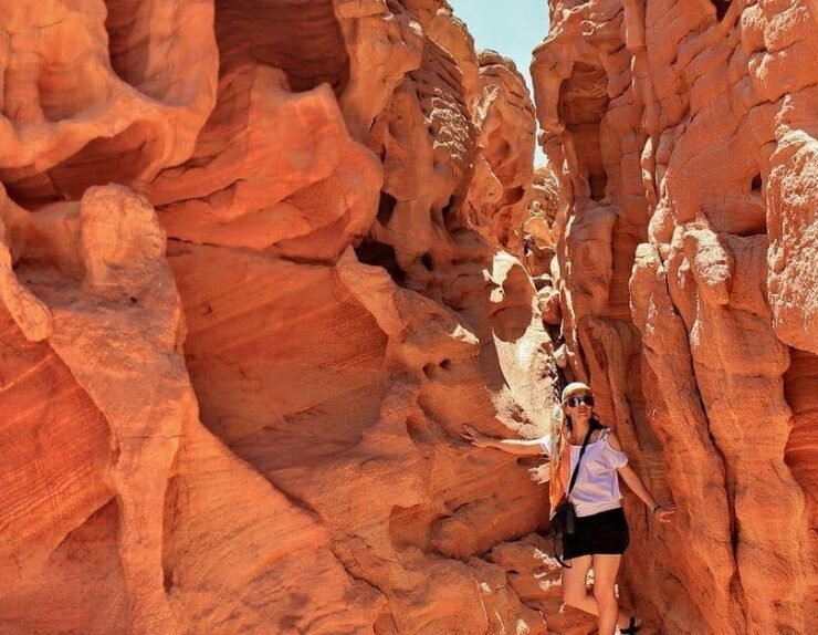 120394003_3424044254301376_1866155104526741711_n