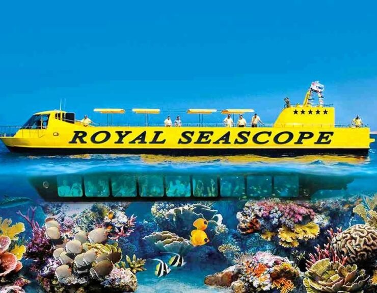 350509201_914890032930270_8746474129013096253_n