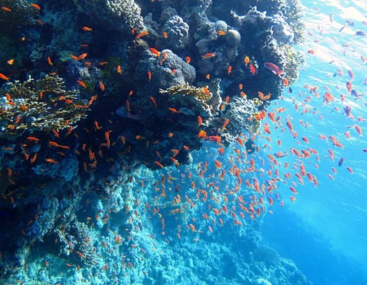 3625a9dc-b856-11ef-a46c-d60d3d68a63e.1080x810