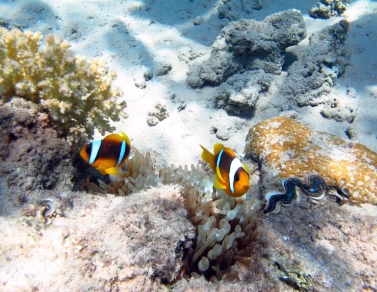 367f162a-b856-11ef-8acf-32ae9fb048ce.1080x810