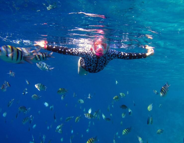 36c51a30-b856-11ef-96ba-56c85a2b6fc8.1080x810