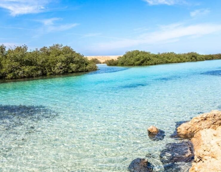 404416713_309117015287666_4348082425438303761_n