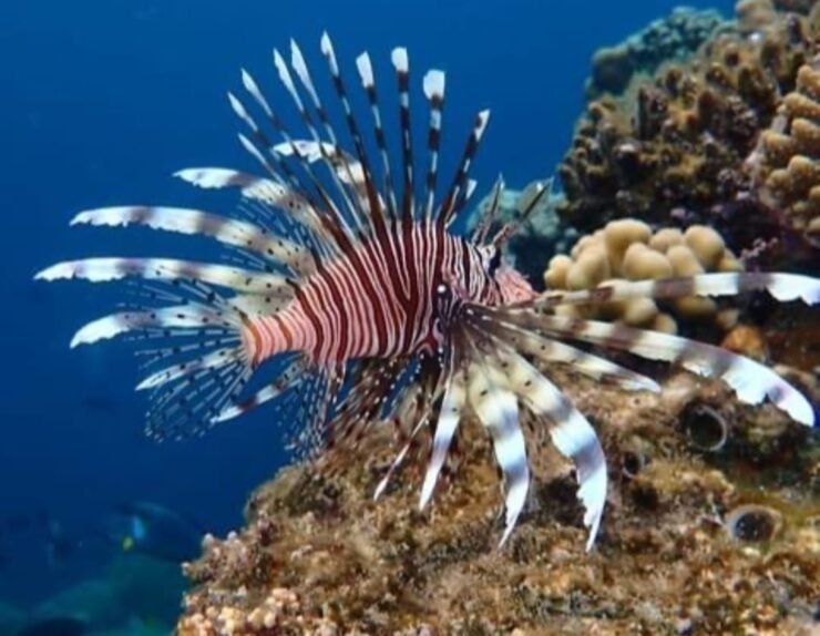 404476925_309117695287598_1023588650136755124_n