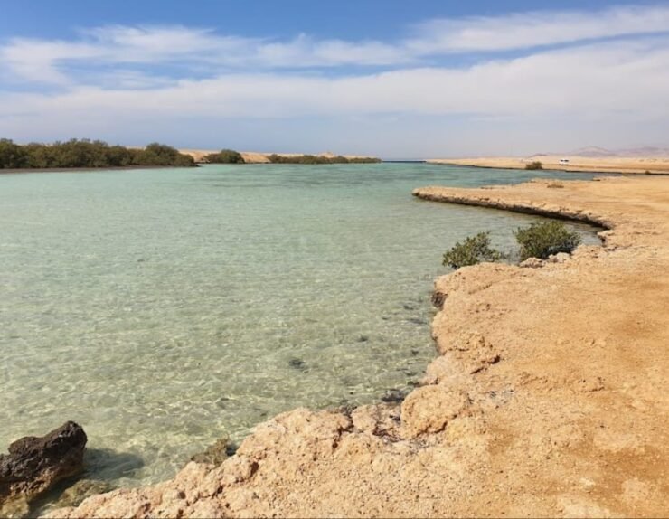 404507768_309117185287649_2054291053221737399_n