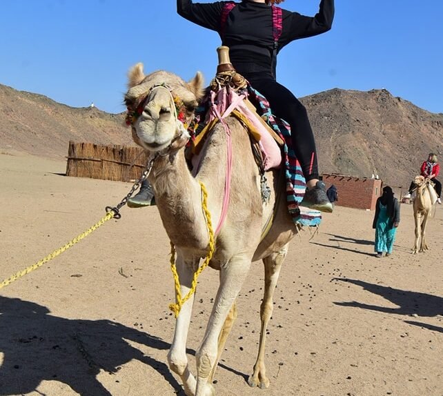 420188820_953791726751969_2233055081589249011_n