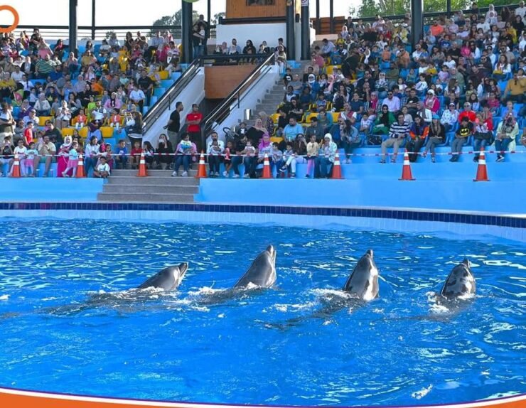 459219118_122139354644292989_5697567566446899901_n