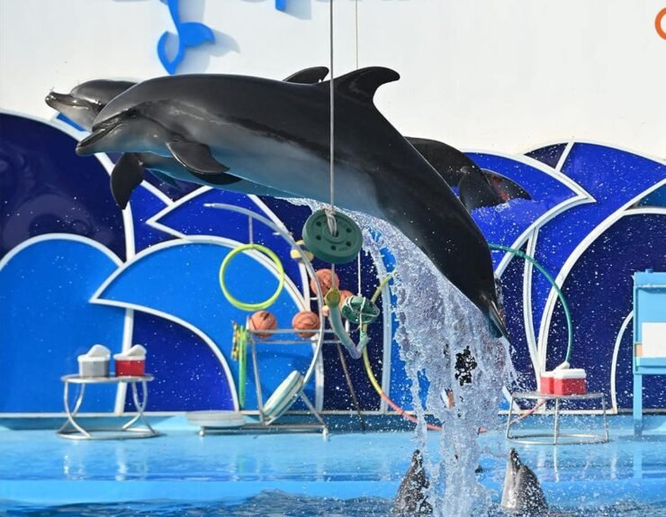 459613425_122139357314292989_6190425354923973648_n