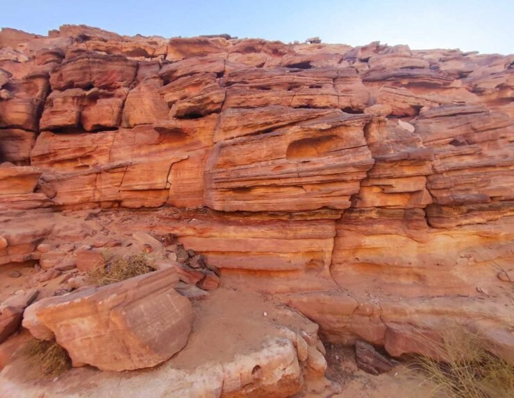 461226554_499425019590197_8470732841263709164_n