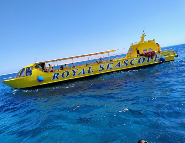 461274605_491565103847942_30529897037094799_n