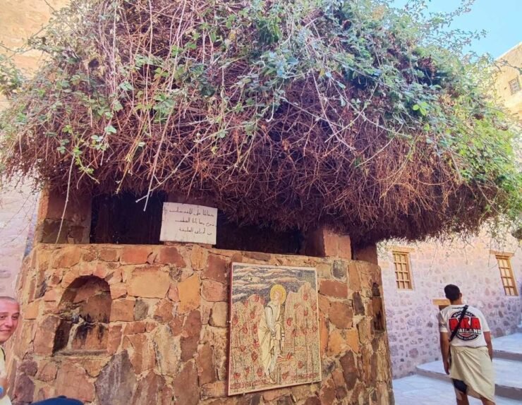 461287283_499755856223780_7133946977799414437_n