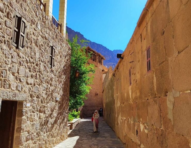 461320288_499756002890432_1345578988645786914_n