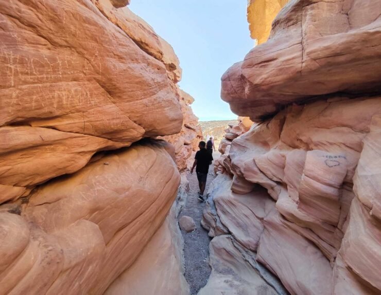 461327022_499421372923895_8232008667348709346_n