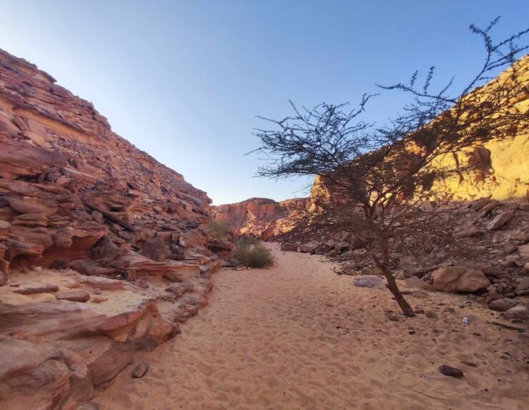 461327022_499422719590427_2769349711455566176_n