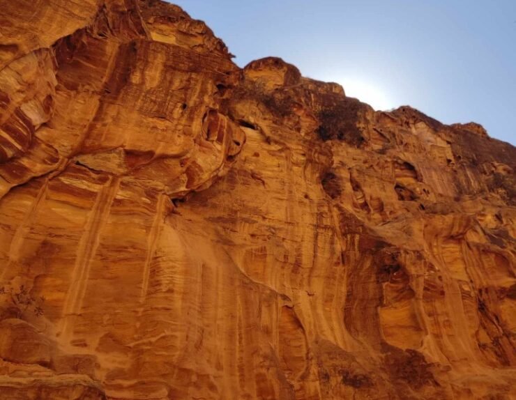 462093594_504198682446164_1422480401337246615_n