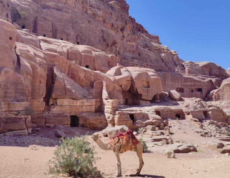 462119801_504198645779501_8722937208658031682_n