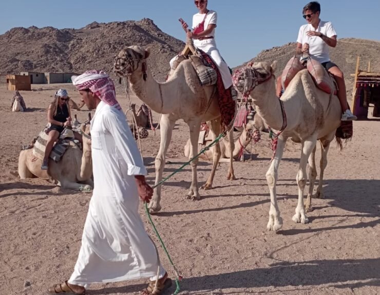 465750121_523777707293348_791812449887806836_n