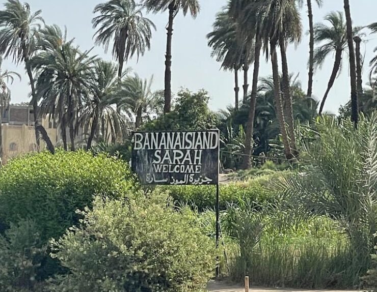 466142765_530092496523449_8543272798498392291_n