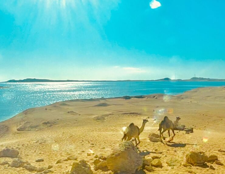 467650652_18140203663362808_1165506386731145629_n