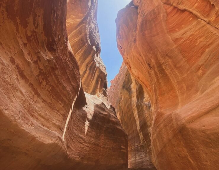 468307164_17882895345173566_8967414253044457492_n