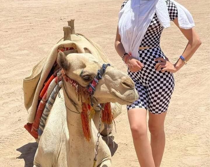 468465696_555848717214427_1590397058636748448_n