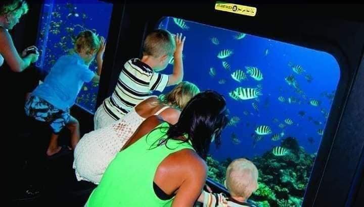 470221471_1026283032848202_7124927498476402659_n