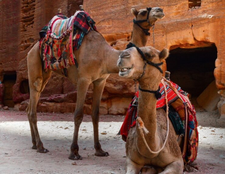 473564403_18347865028181466_9140012228841681926_n