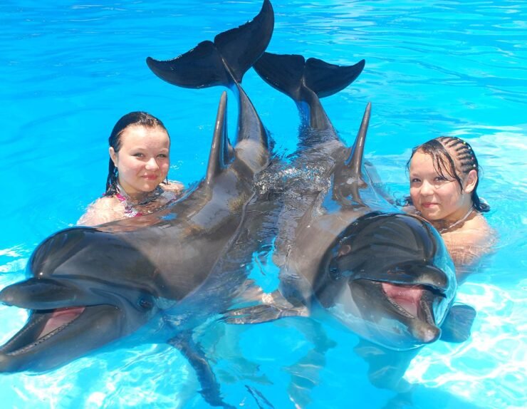 Swimming-With-Dolphins3
