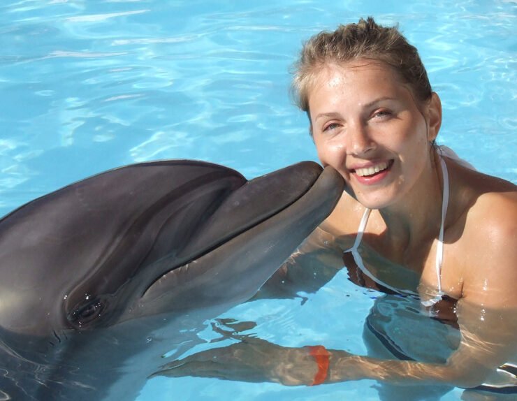 Swimming-With-Dolphins4