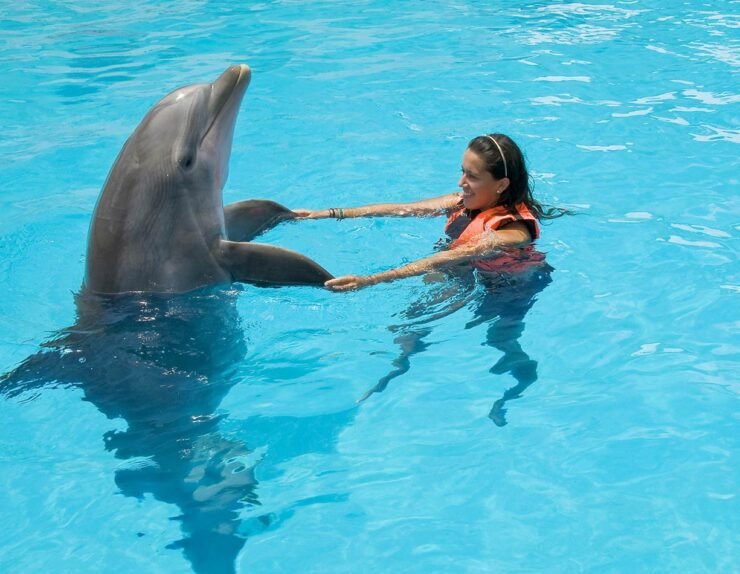 Swimming-With-Dolphins5
