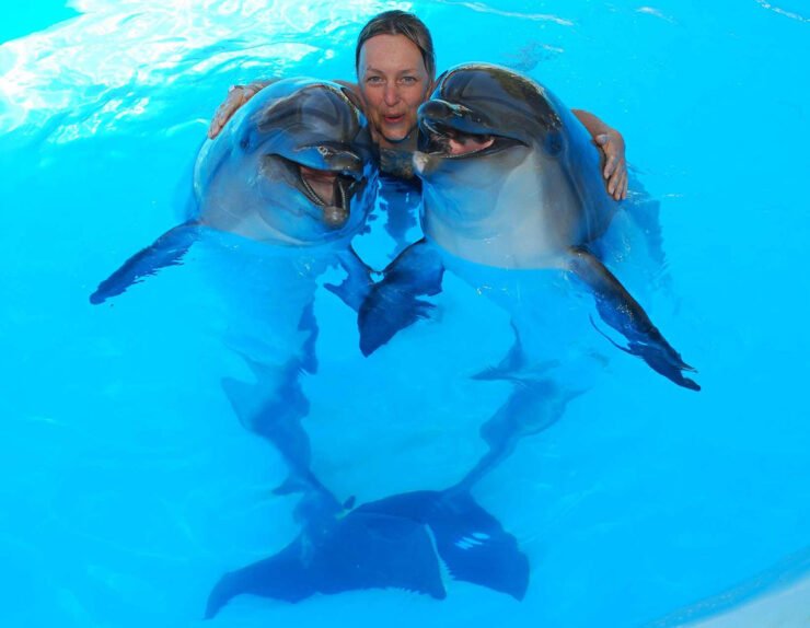 Swimming-With-Dolphins6