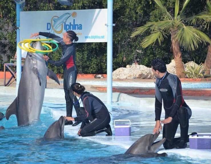 WhatsApp Image 2025-01-15 at 23.18.04_3266af2d