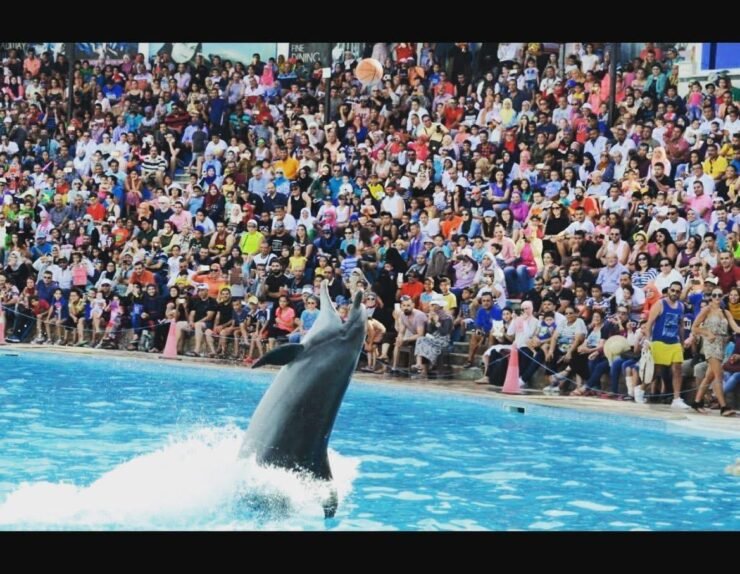 WhatsApp Image 2025-01-15 at 23.18.04_4c681aca