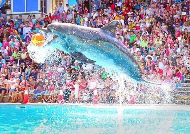 WhatsApp Image 2025-01-15 at 23.18.04_9ea63235