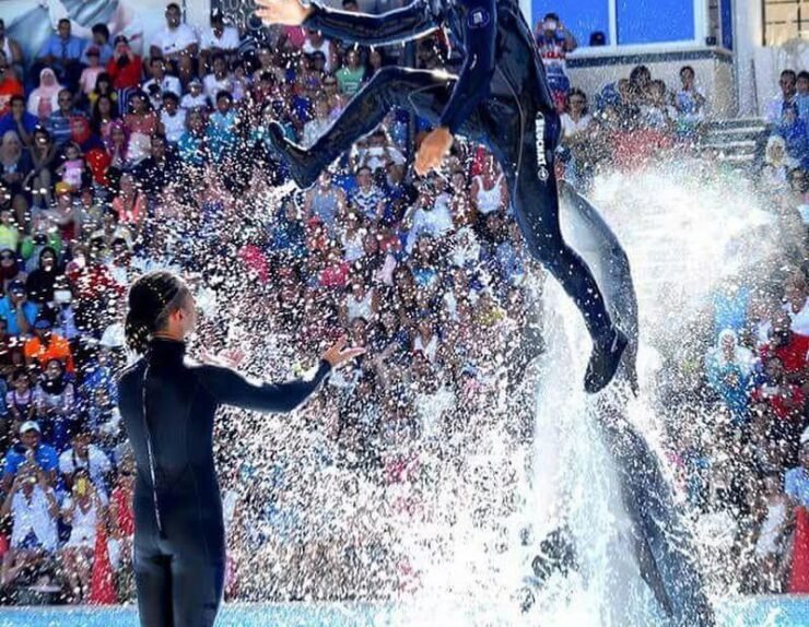 WhatsApp Image 2025-01-15 at 23.18.04_dd367d7e