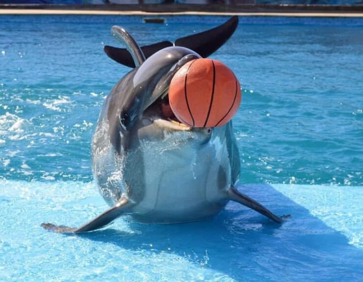 WhatsApp Image 2025-01-15 at 23.18.04_f085c7f6