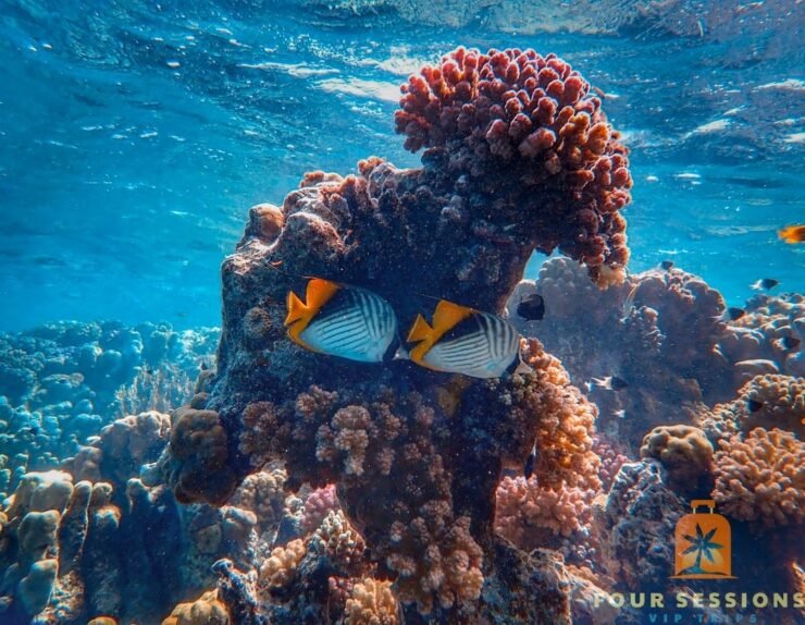 WhatsApp Image 2025-07-15 at 18.17.16_74a3f5b9