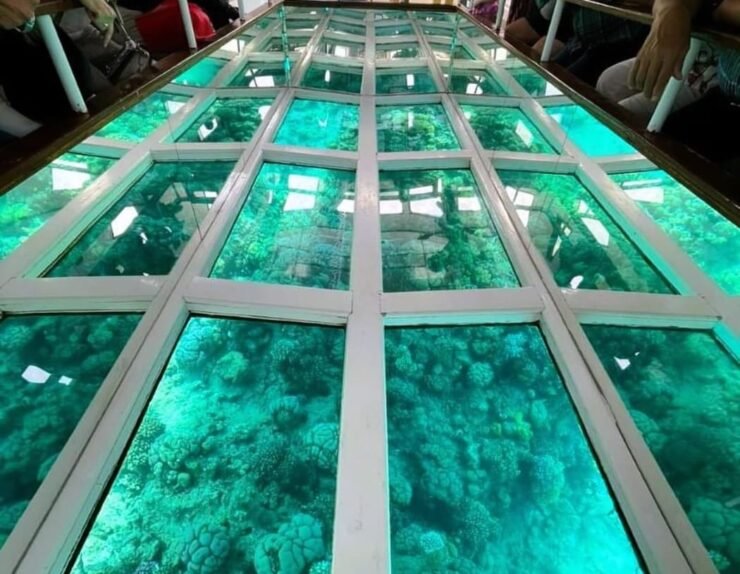 WhatsApp Image 2025-07-15 at 18.17.17_254a164f