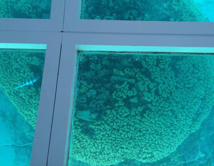 WhatsApp Image 2025-07-15 at 18.17.17_3c073cda