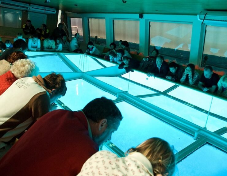 WhatsApp Image 2025-07-15 at 18.17.17_5482c576