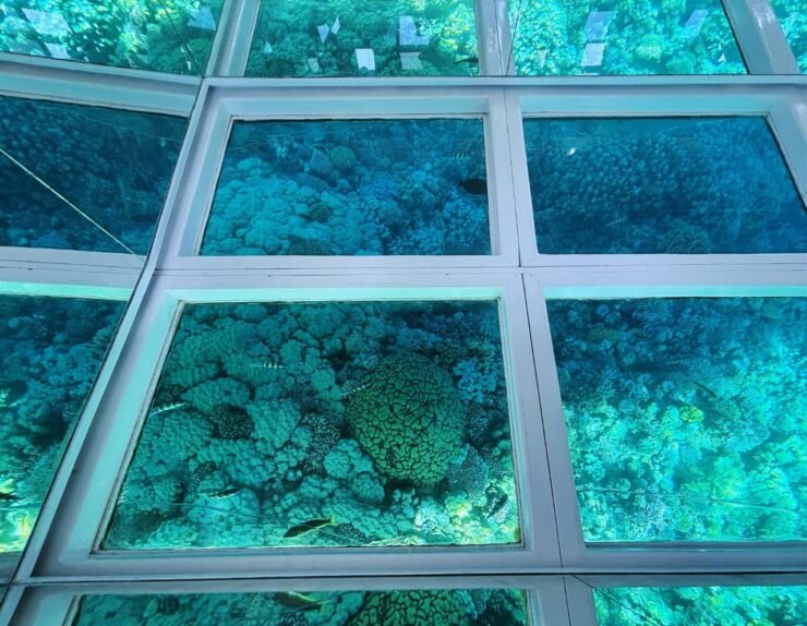 WhatsApp Image 2025-07-15 at 18.17.18_ad6895eb