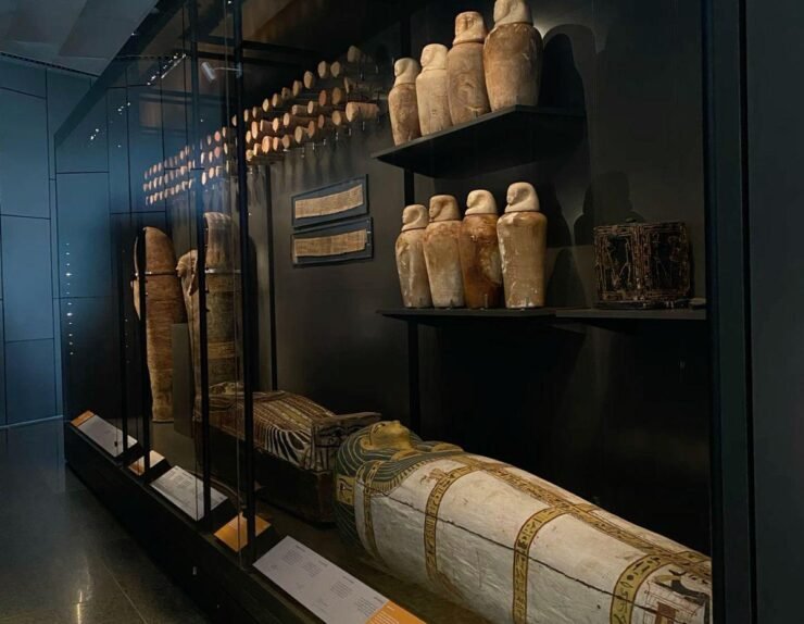 WhatsApp Image 2025-11-23 at 10.51.13_96b547ab